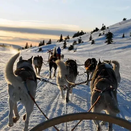 Casa vacanze Arctic Familiy - Ideal For Families & Groups Tromsø